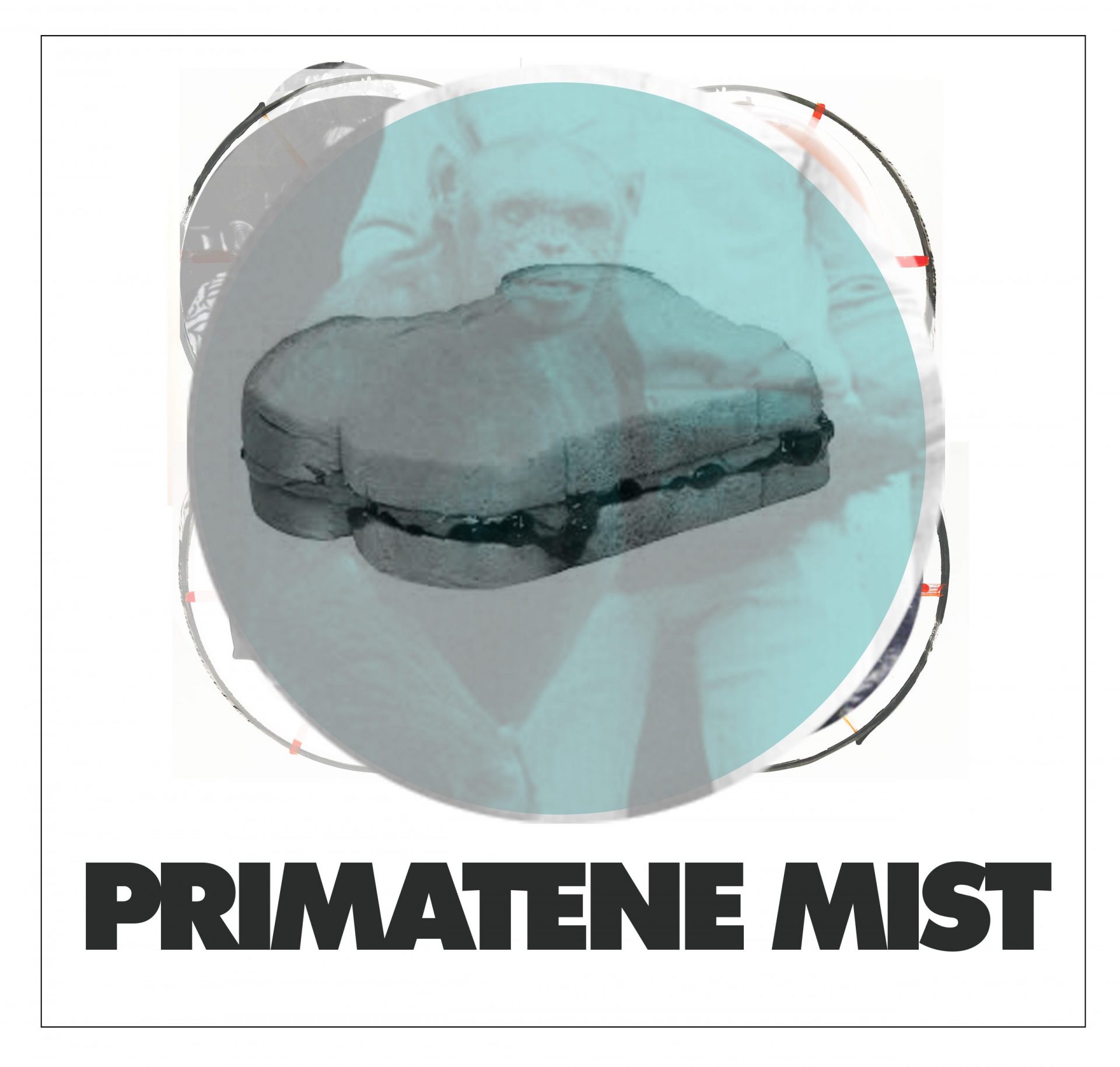 PRIMATENE MIST AQUA